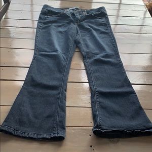 Wit and Wisdom jeans, size 10p